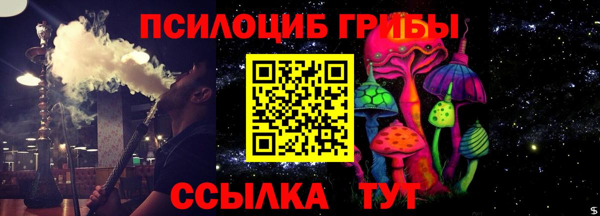 Череповец  Галлюциногенные грибы Cubensis  Вход с VPN 